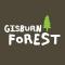 Gisburn Forest